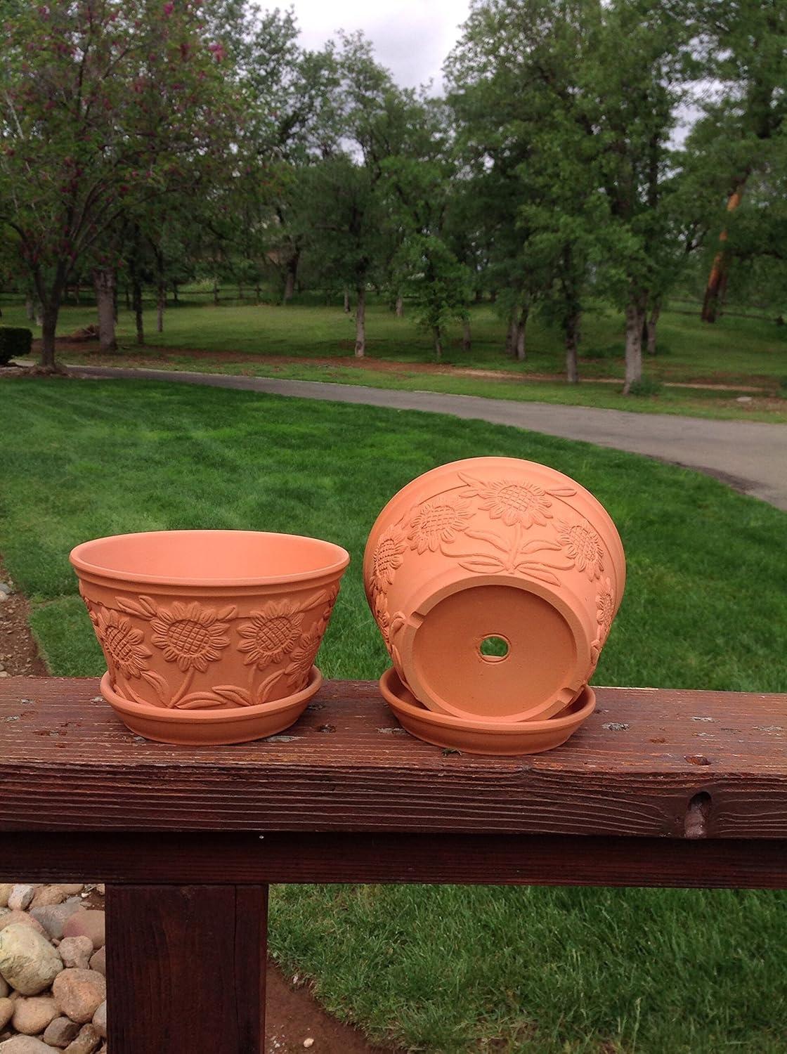 Sunflower Embellished Terracotta Garden Pot Duo with Tray