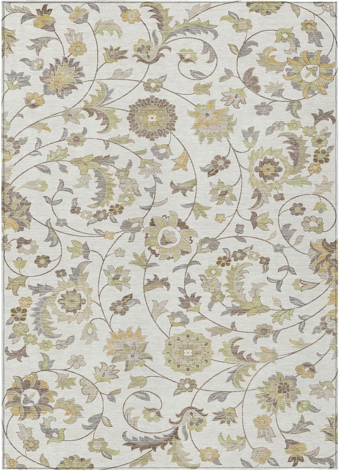 Machine Washable Indoor/Outdoor Chayden ACN1006 Ivory Rug