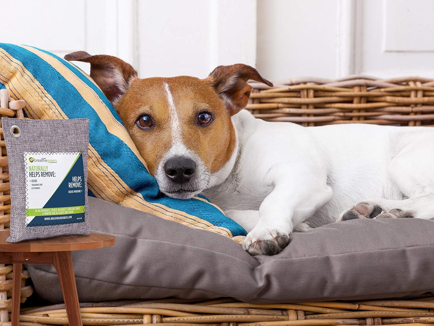 Breathe Green Bamboo Charcoal Bags Odor Absorber (9-Pack) Activated Charcoal Odor Eliminator Bag, Natural Freshener Removes Odors and Moisture, Odor Eliminator for Home, Pets, Shoes, Closet, RV