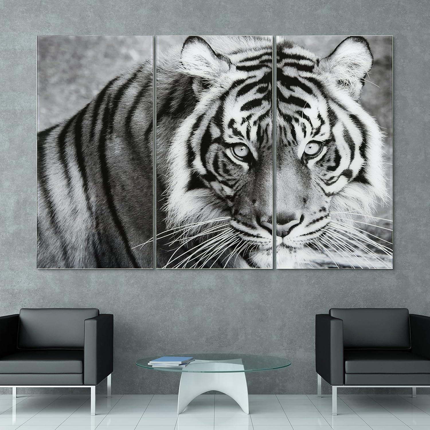 Empire Art Direct " Tiger ABC " 3 - Pieces