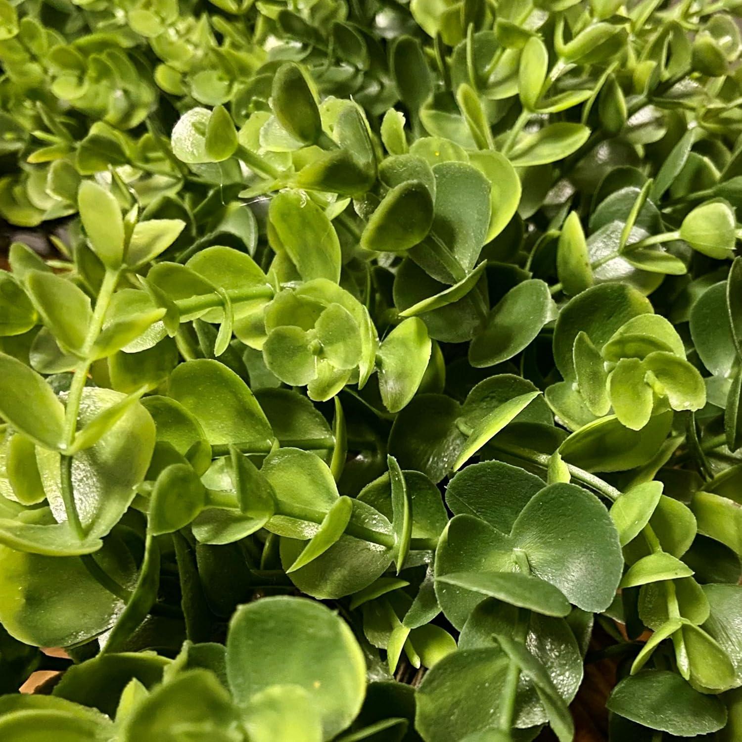 Haute Decor 24-in H Any occasion Hanging decoration Wreath