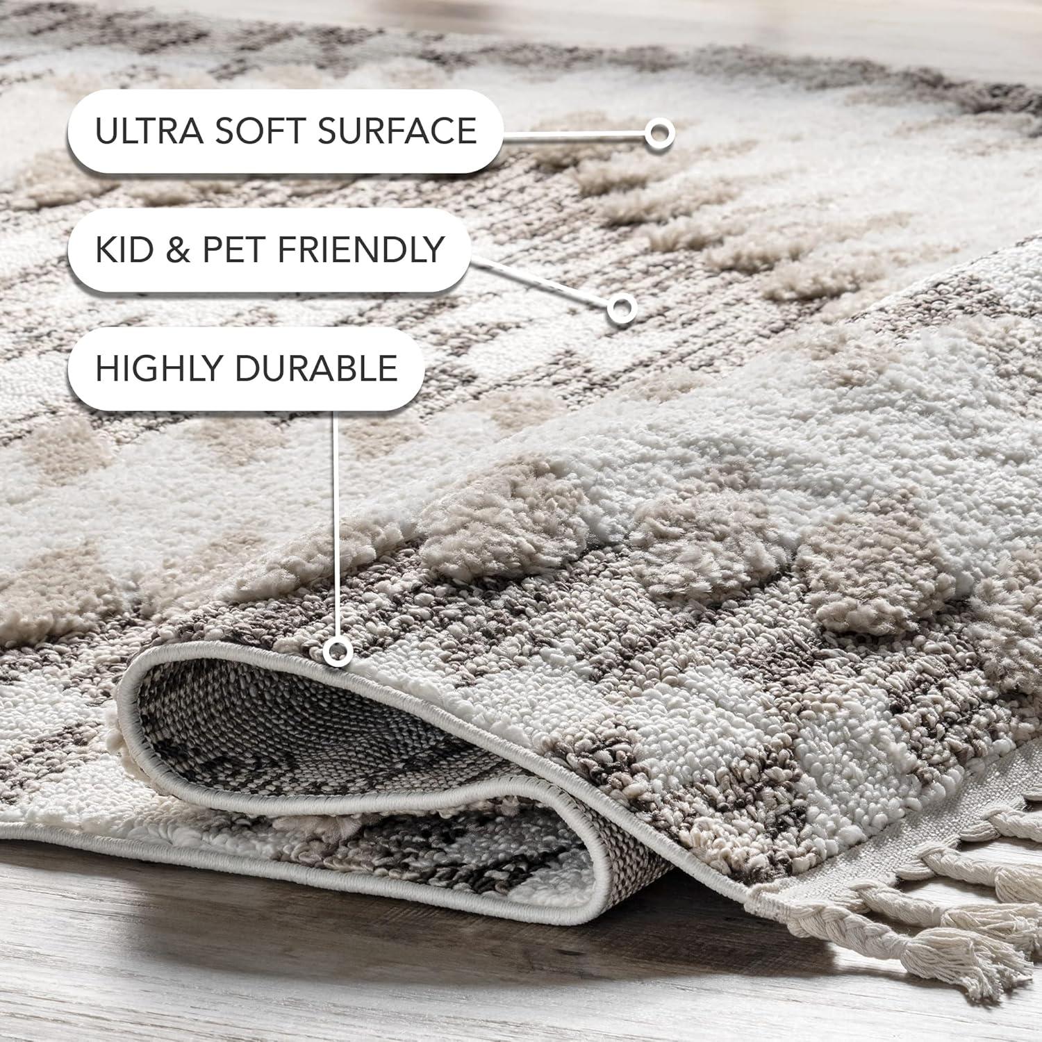nuLOOM Aviana Global Trellis Area Rug