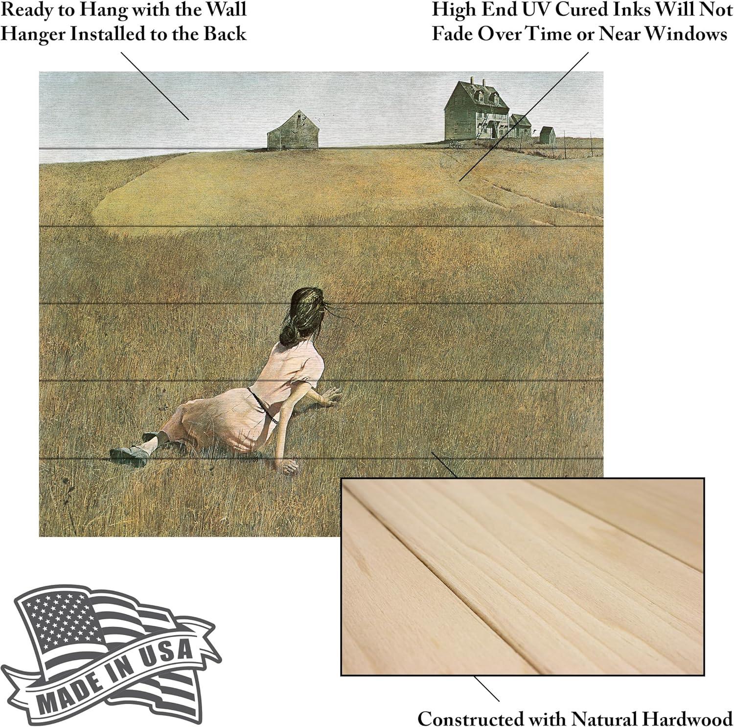 Trademark Fine Art 18"x22" Andrew Wyeth Christina's World Wood Slat Art: UV Ink, Ready to Hang