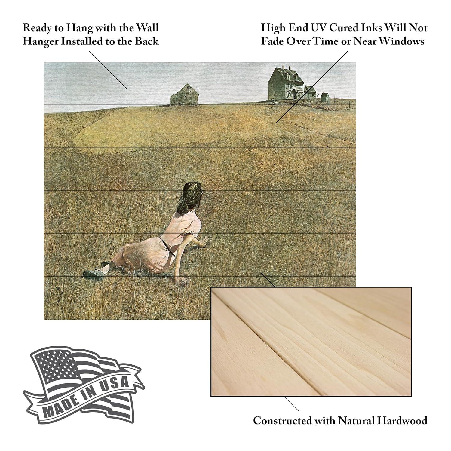 Trademark Fine Art 18"x22" Andrew Wyeth Christina's World Wood Slat Art: UV Ink, Ready to Hang