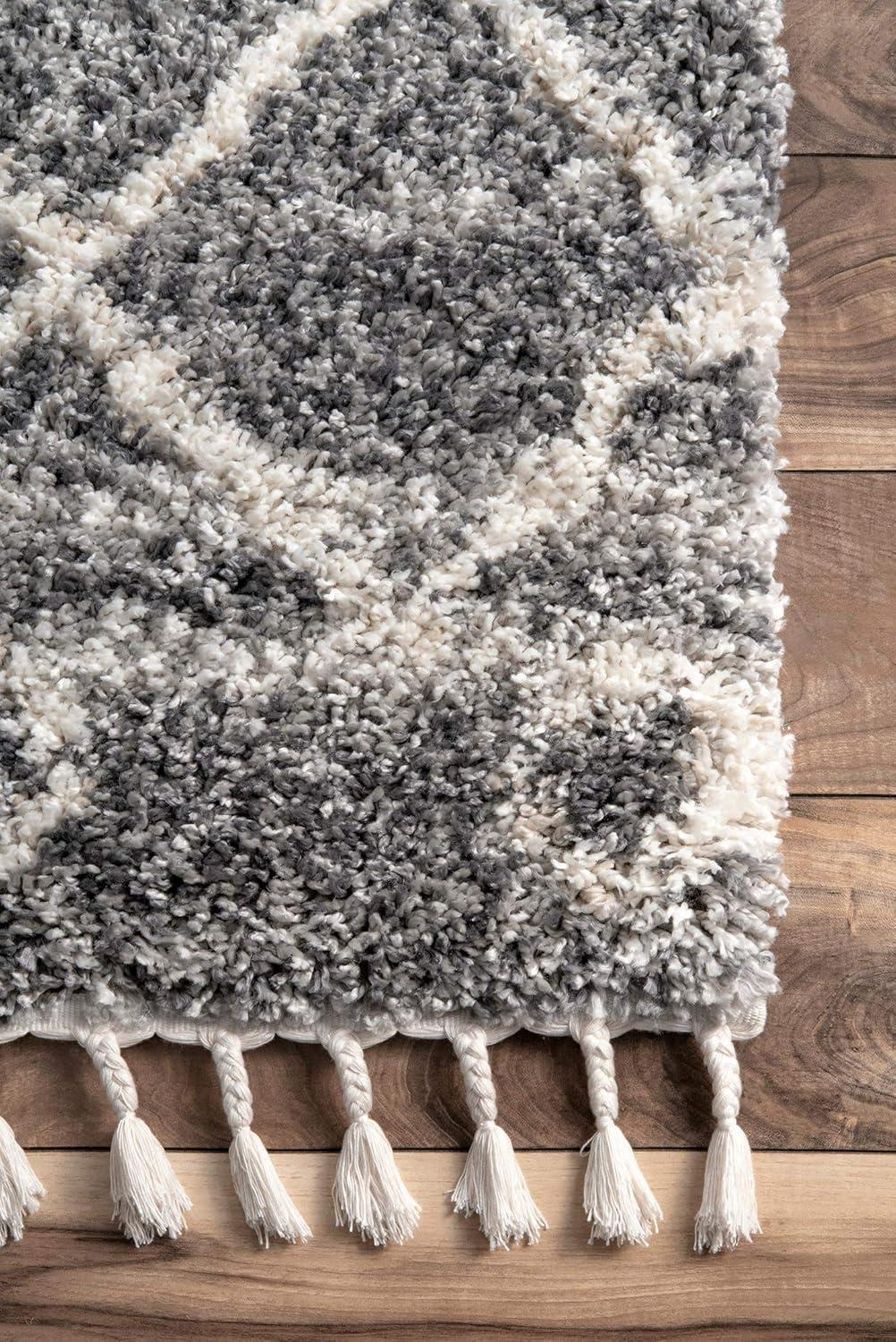 nuLOOM Transitional Kristi Shag Area Rug