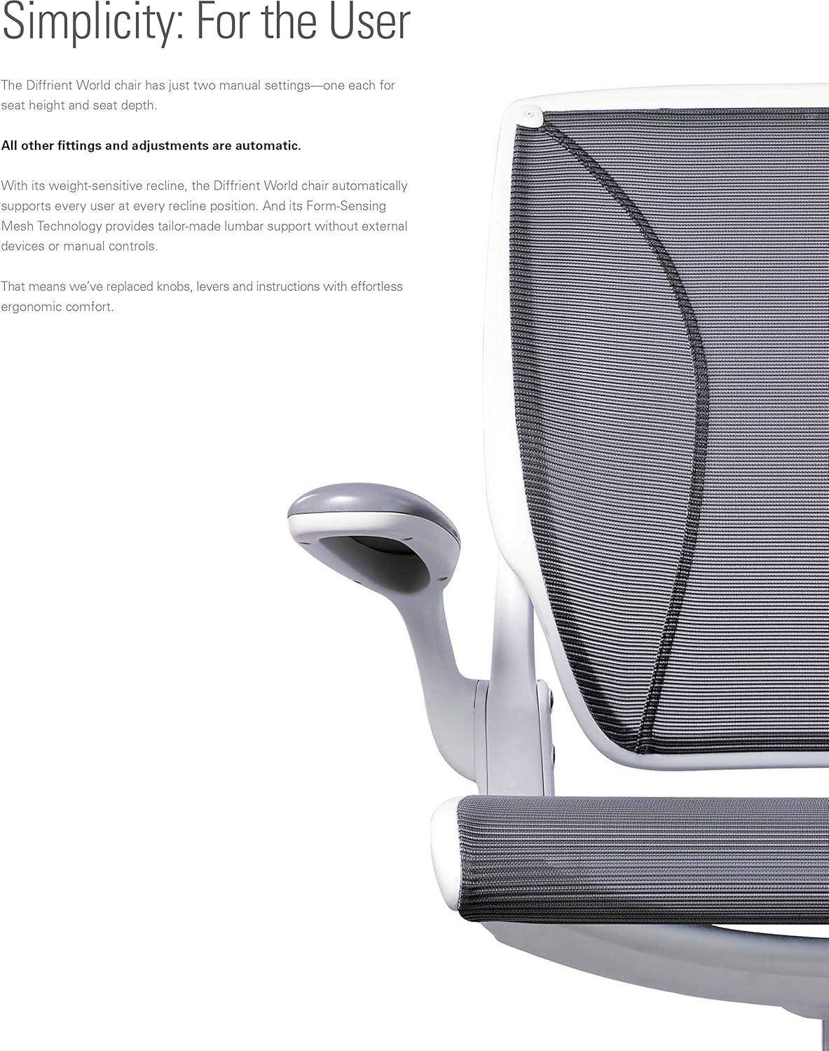 Humanscale Diffirient World Chair Material: Pinstripe Black Back