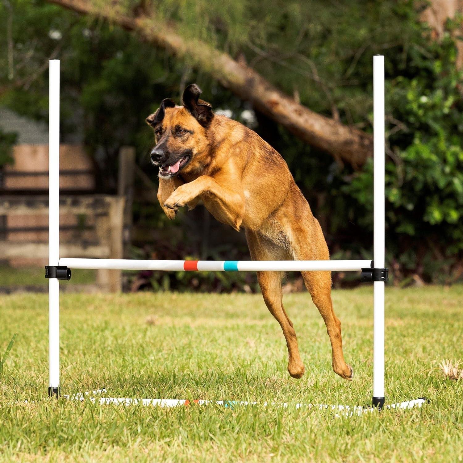 Adjustable White Plastic Dog Agility Training Bar Jumps Set