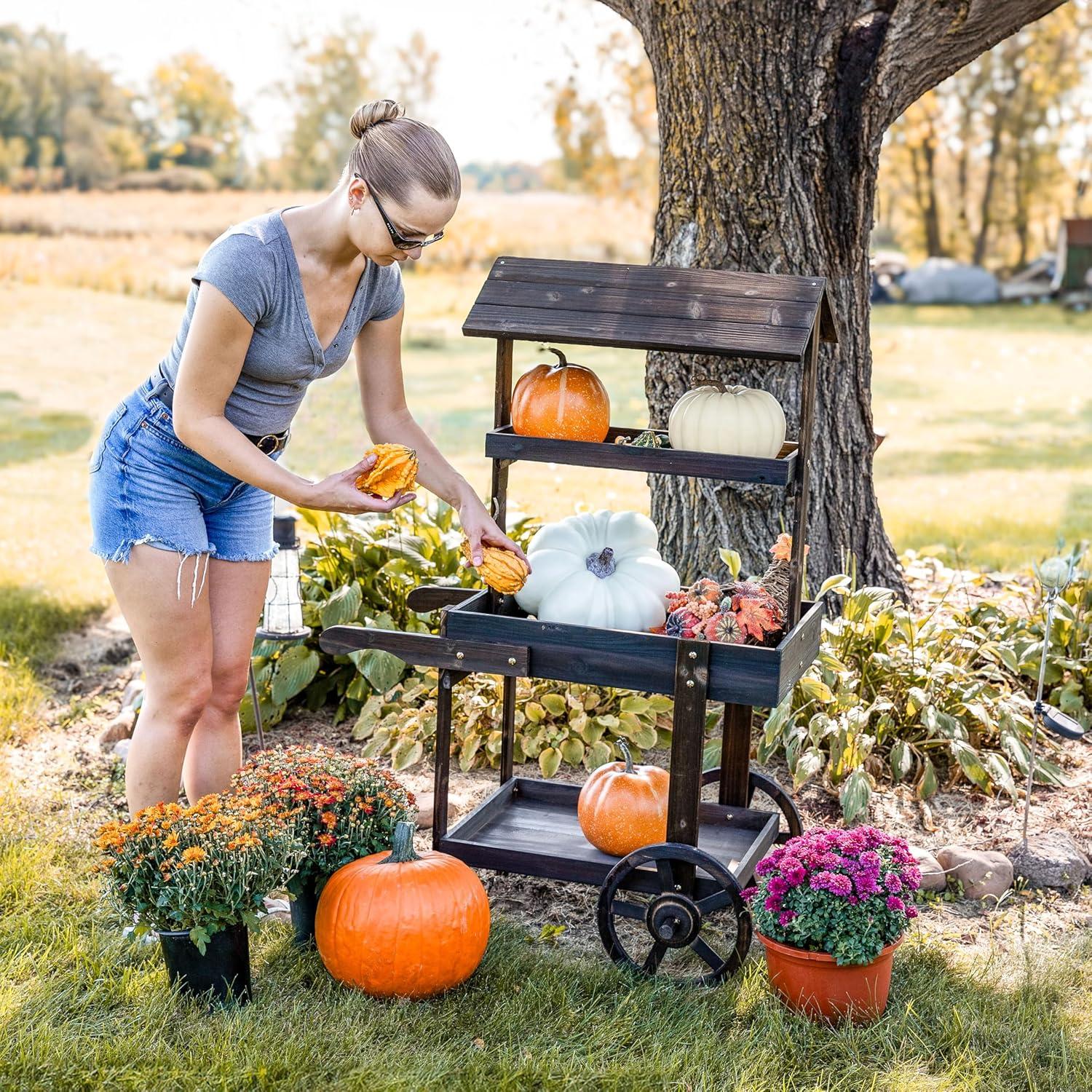 Sunnydaze Country Market Flower Cart Display Stand - 49.25” H - Charred Fir