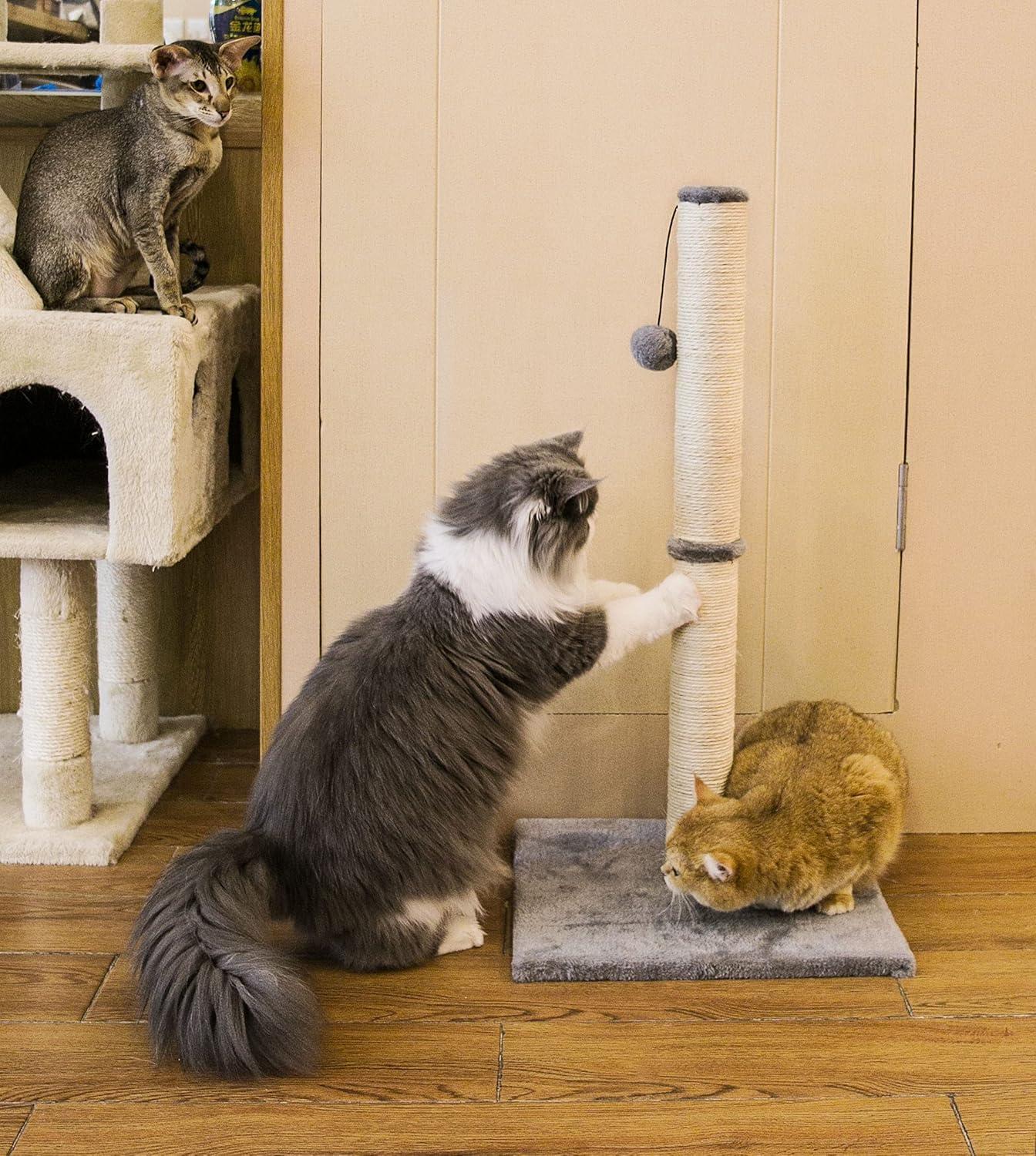 Tucker Murphy Pet™ 29" Tall Cat Scratching Post, Scratch Posts With Sisal Rope And Hanging Interactive Toy Ball For Indoor Cats And Kittens