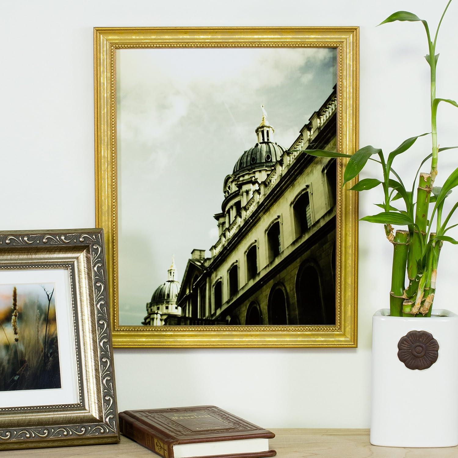 Craig Frames 16x24 Ornate Gold Picture Frame