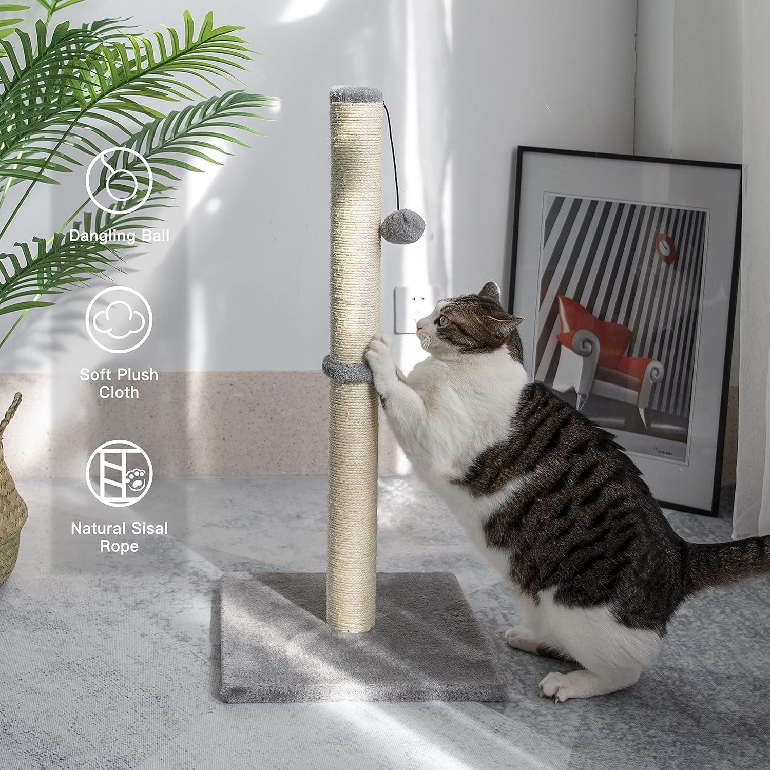 Tucker Murphy Pet™ 29" Tall Cat Scratching Post, Scratch Posts With Sisal Rope And Hanging Interactive Toy Ball For Indoor Cats And Kittens