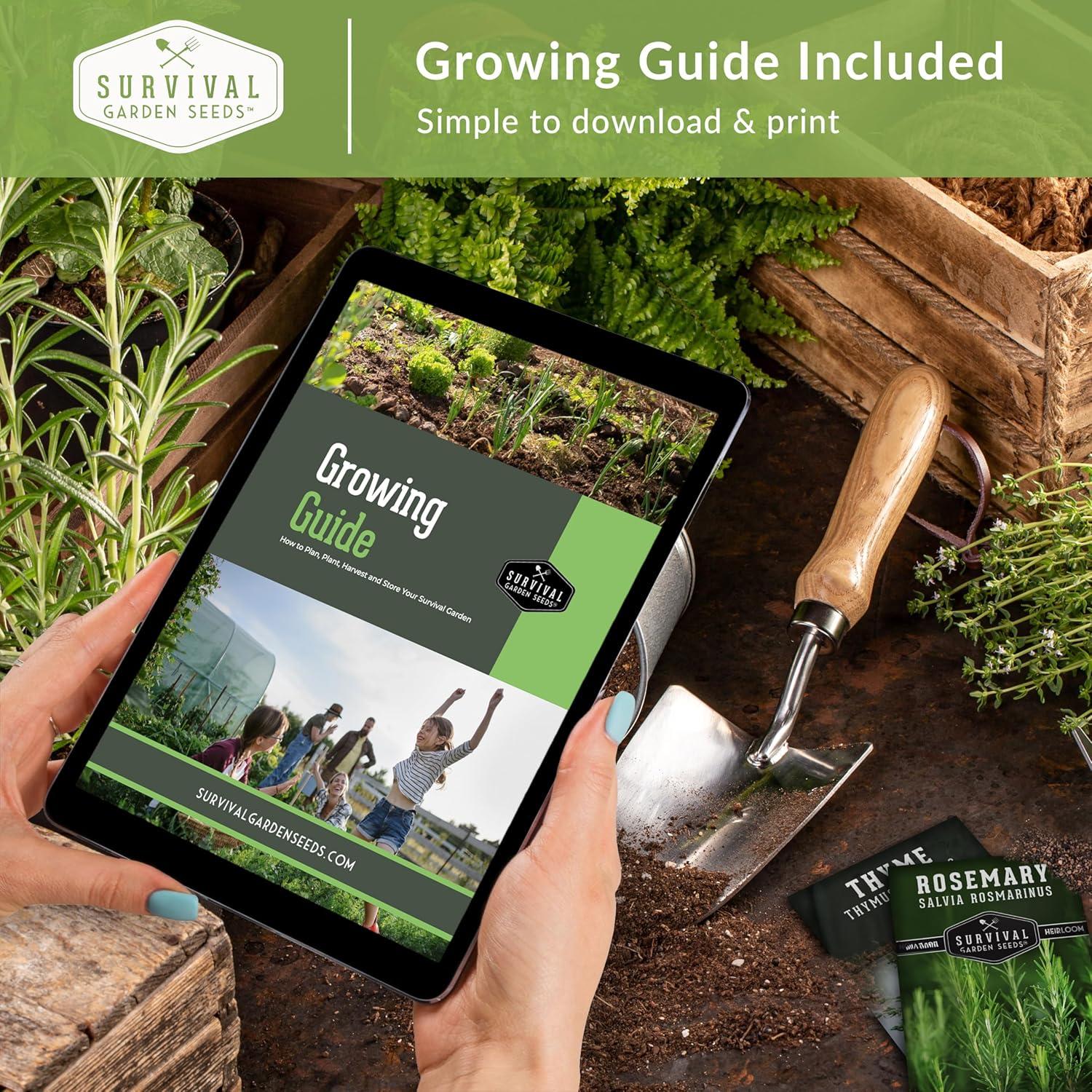 4 Packs Poppy Flower Seed - California, Golden West, Mikado, Red Corn - Full Sun Annual