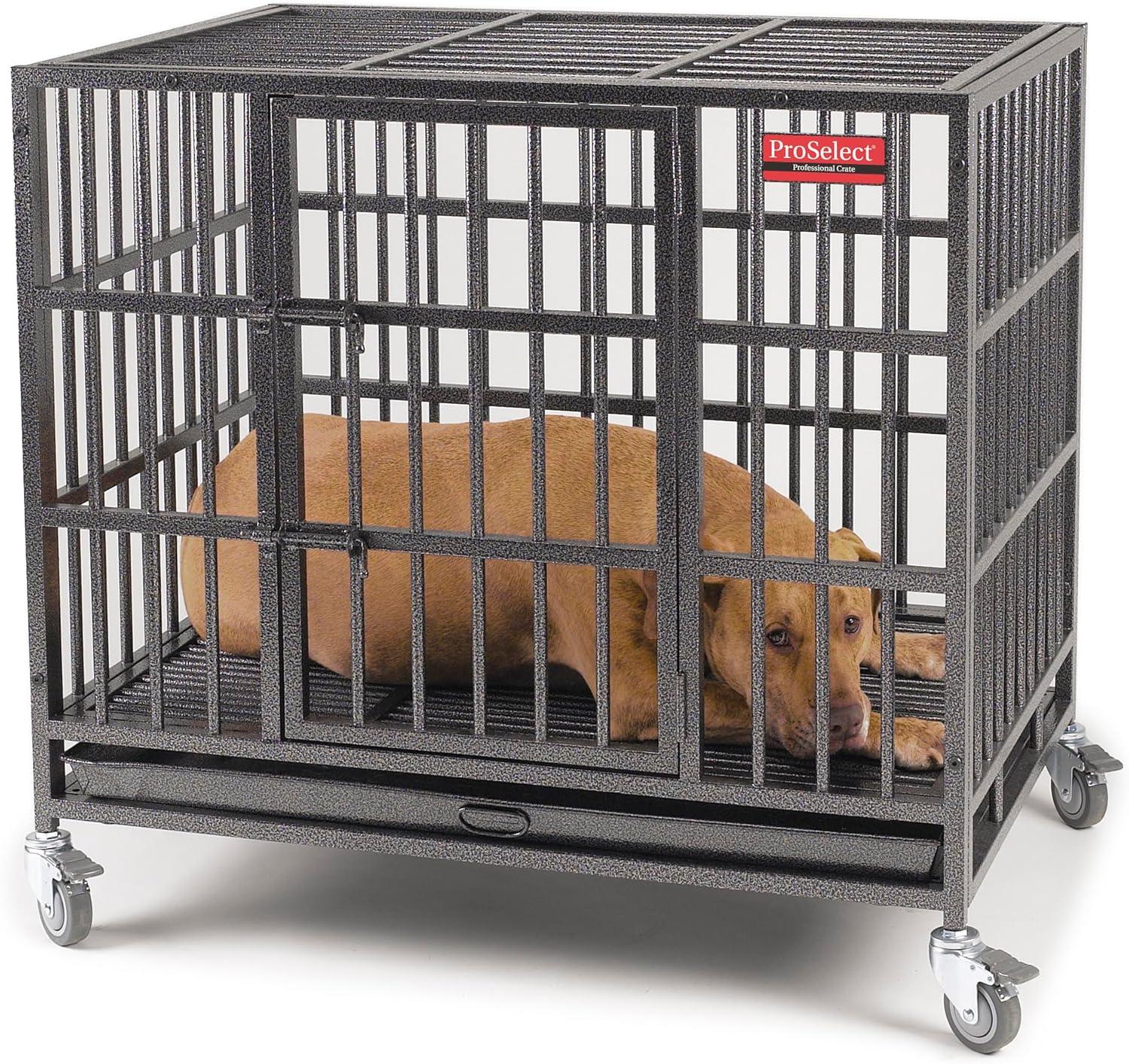 ProSelect Metal Pet Crate with 1 Door
