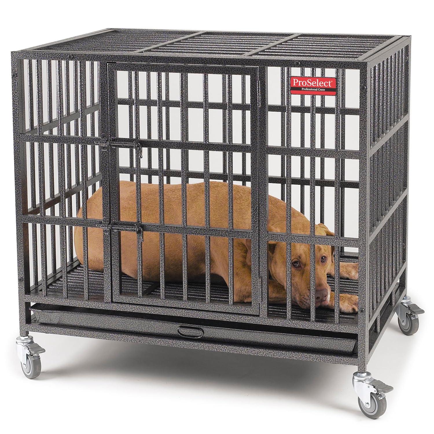 ProSelect Metal Pet Crate with 1 Door