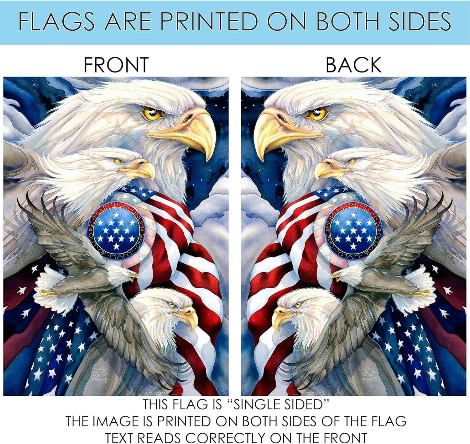 Toland Home Garden Stand In Unity Bald Eagle Patriotic Flag Double Sided 12x18 Inch