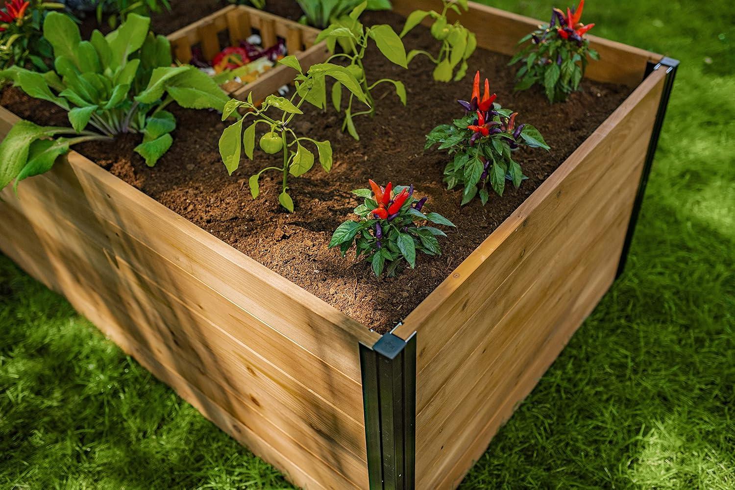 Vita Mezza 3' L x 5' W Cedar Keyhole Composting Garden, Golden Brown, VT17702