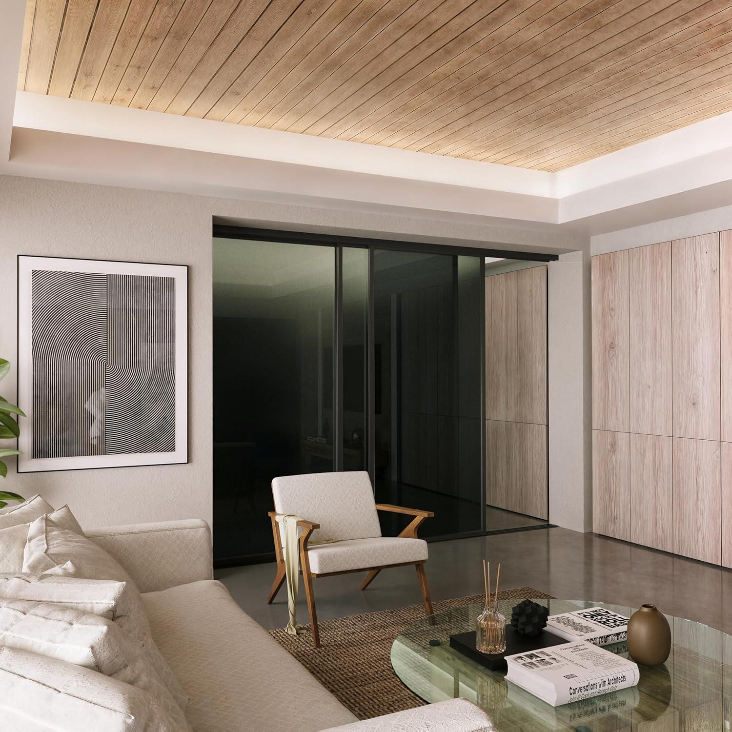 Doors55 Glass Room Divider Panel and Partition Wall