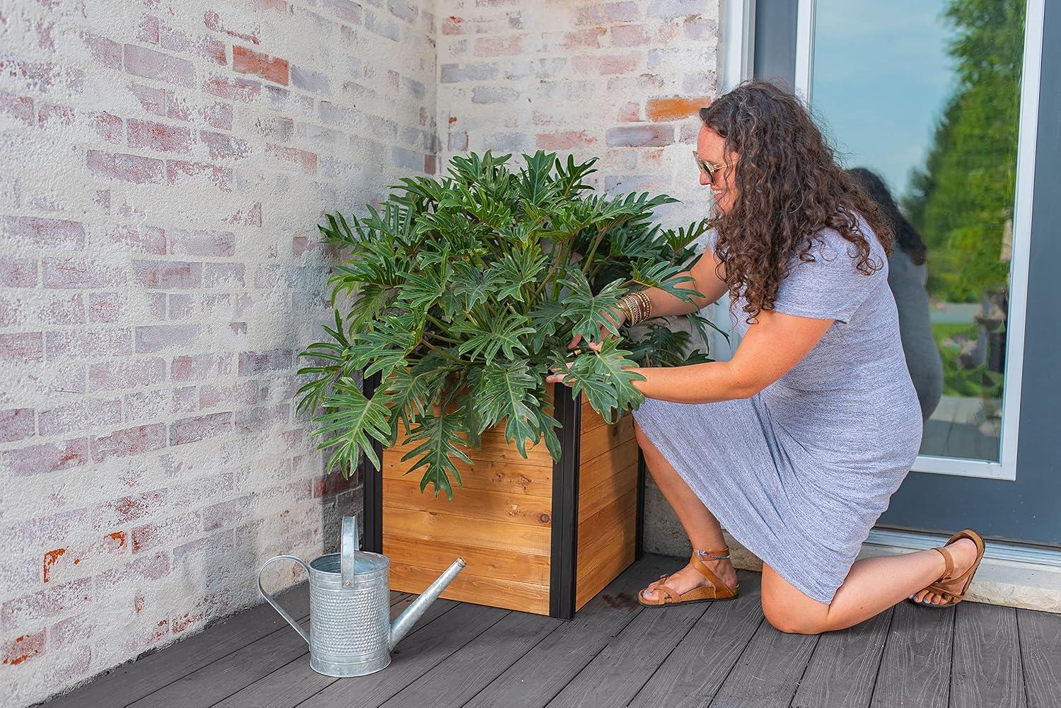 Mezza Wood Outdoor Planter Box