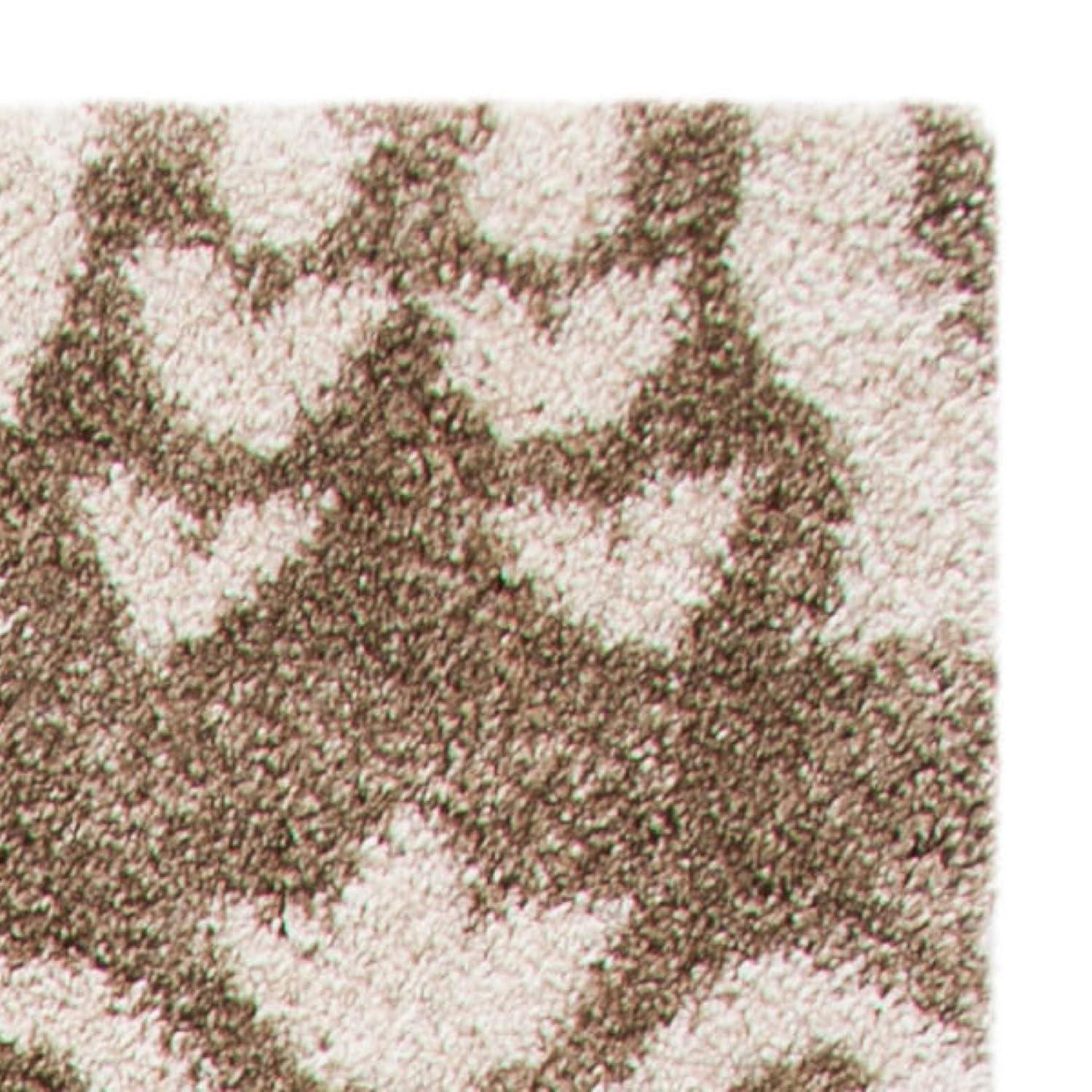 Florida Shag SG460 Power Loomed Indoor Accent Rug - Beige/Cream - 2'3"x4' - Safavieh