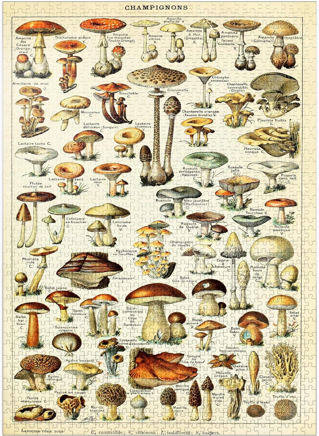 MyPuzzle - Champignons - Mushrooms For All, Vintage Art Poster, Adolphe Millot - Premium 1000 Piece Jigsaw Puzzle for Adults