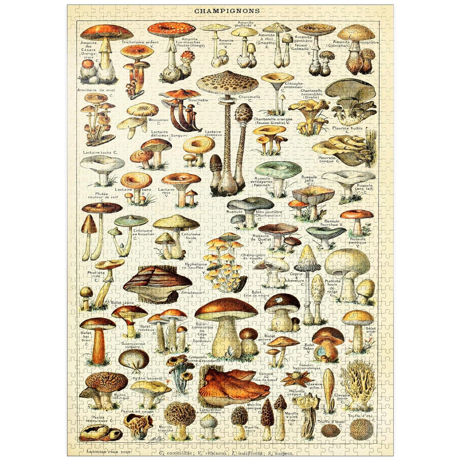 MyPuzzle - Champignons - Mushrooms For All, Vintage Art Poster, Adolphe Millot - Premium 1000 Piece Jigsaw Puzzle for Adults