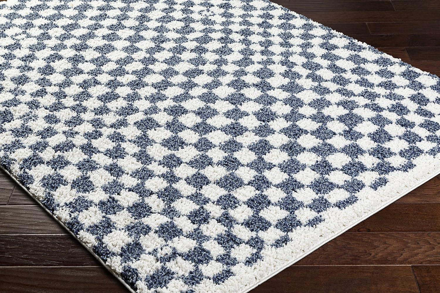 Hauteloom Kieu Black & White Checkered Shag Rug