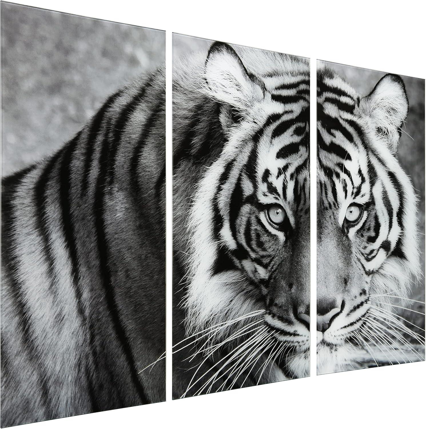 Empire Art Direct " Tiger ABC " 3 - Pieces