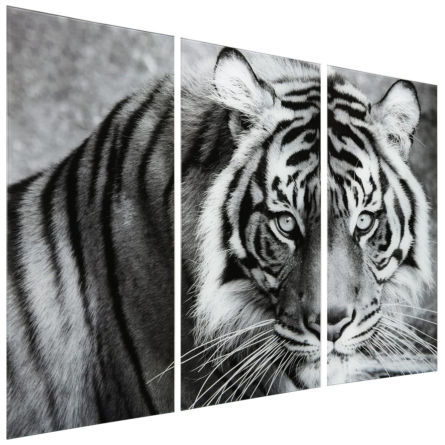 Empire Art Direct " Tiger ABC " 3 - Pieces