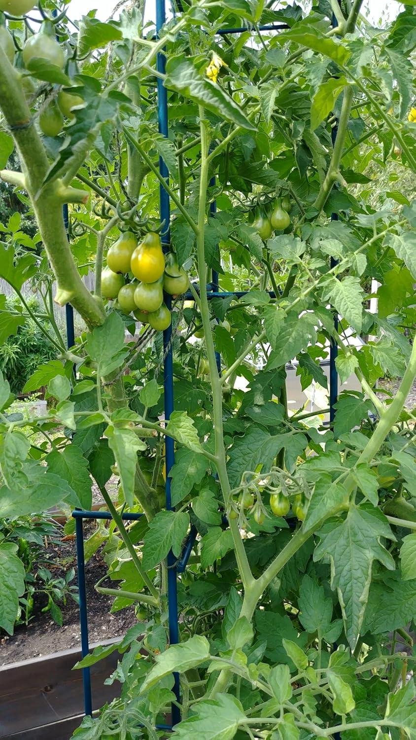 Corrigan Studio® Zenith Folding Garden Supports, Set of 2