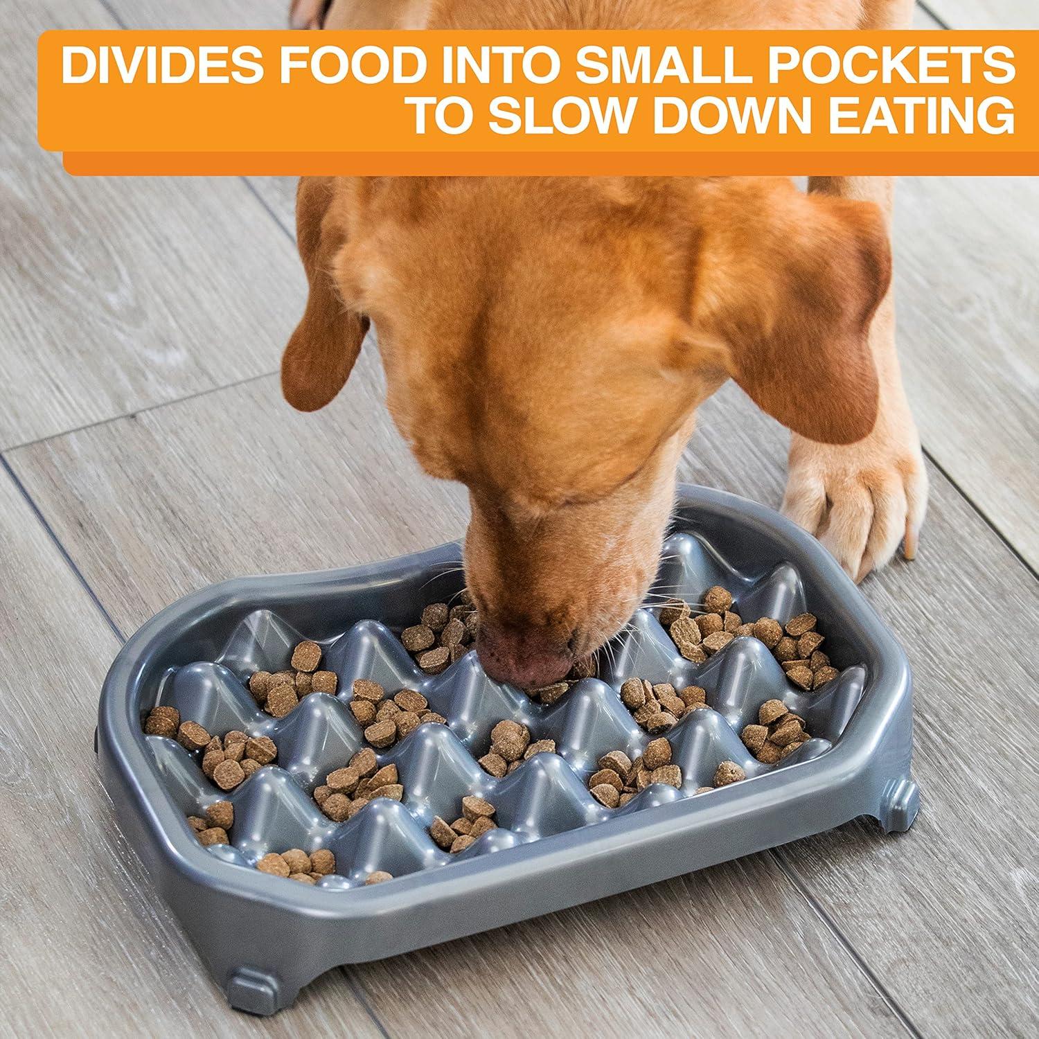 Neater Pet Brands Neater Slow Feeder to Improve Digestion, Stop Obesity, and Slow Down Eating, 6 Cups, Gunmetal