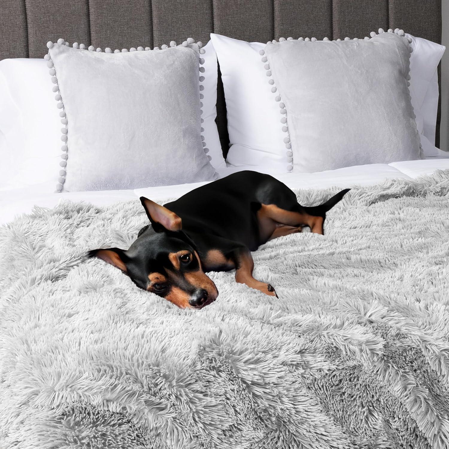 PAVILIA Fluffy Faux Fur Reversible Throw Blanket for Bed, Sofa, and Couch, Light Gray/Throw - 50x60