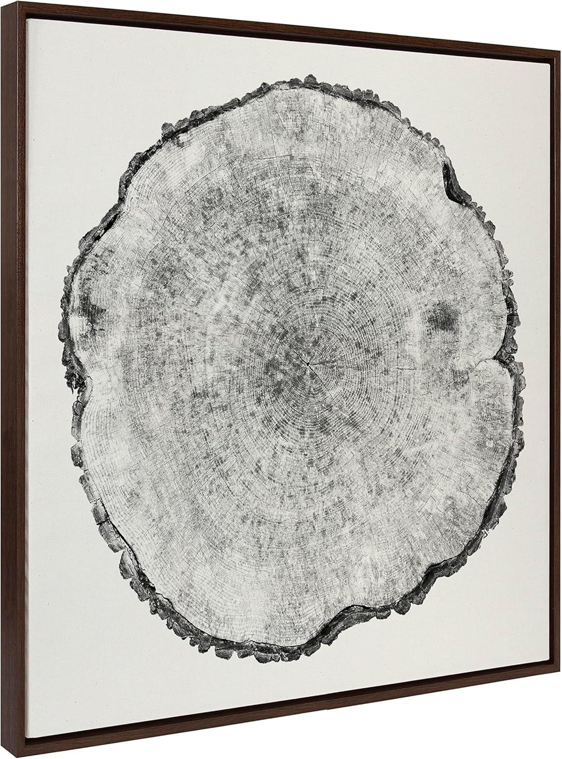 Kate and Laurel Sylvie Tree Rings Linen Framed Canvas by Emiko and Mark Franzen of F2Images, 30x30, Walnut Brown