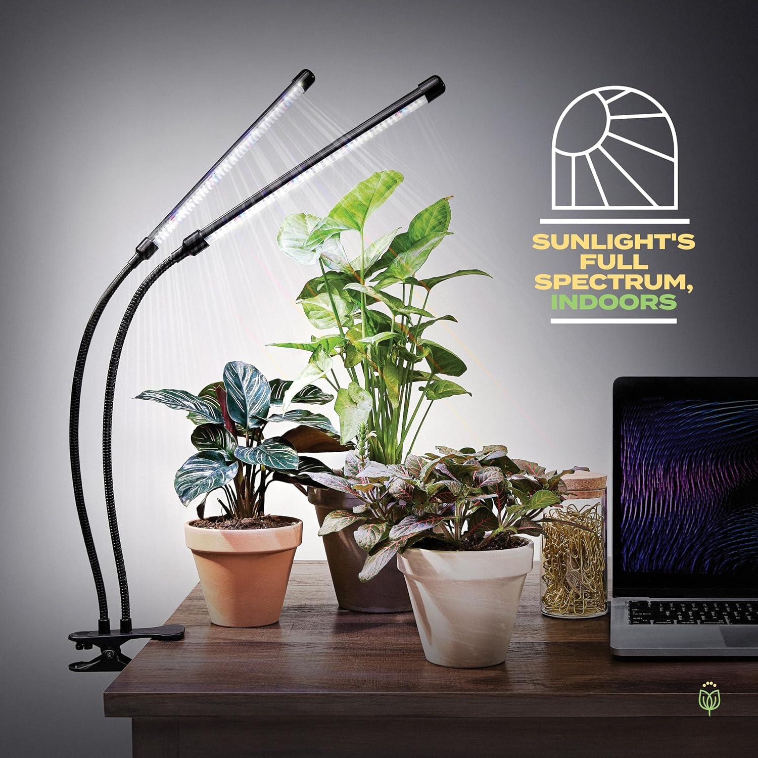 Bloom Lume LED Grow Lights for Indoor Plants Full Spectrum - Features Multi-Mode Color Spectrums, Dimmable, Auto Timer, Clip on Goosneck Plant Lamp