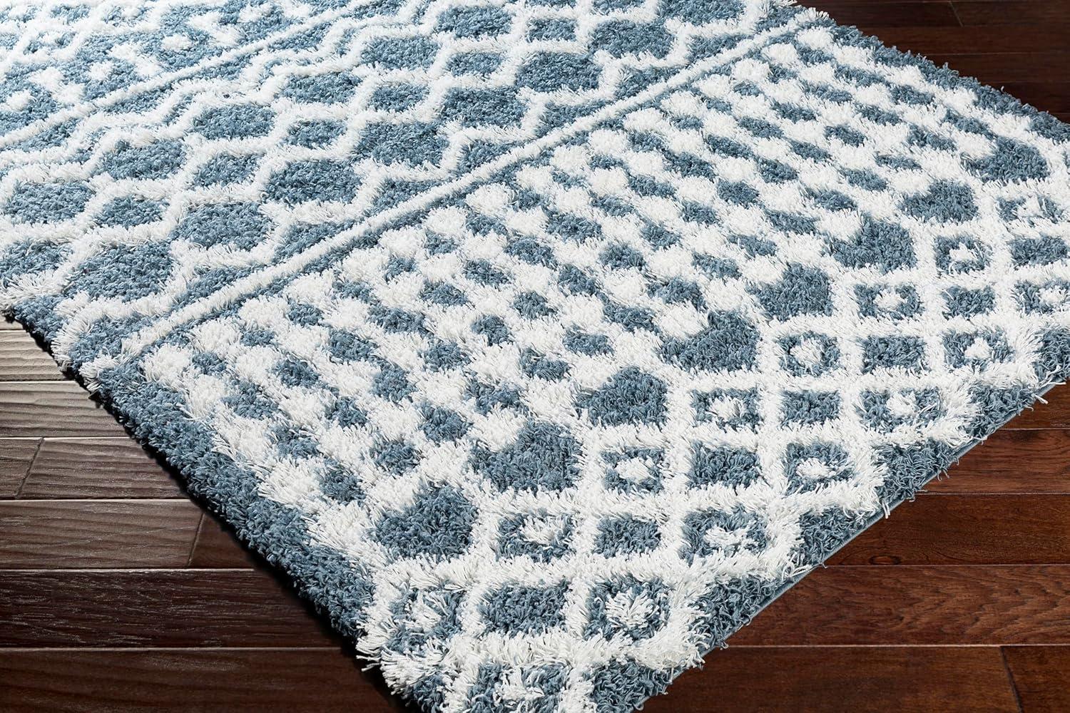 Blue Trellis Rectangular Stain-Resistant Shag Rug, 2' x 2'11"