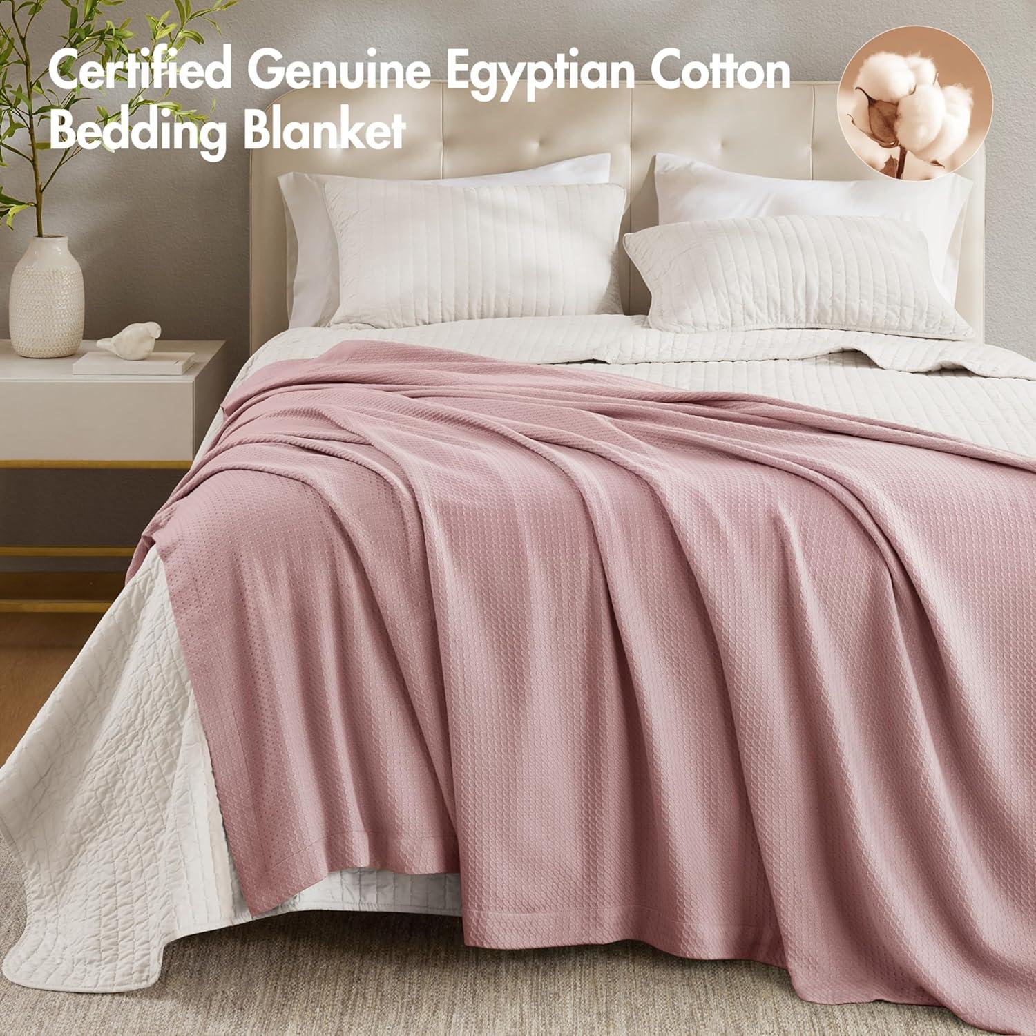 Madison Park 100% Certified Egyptian Cotton Blanket