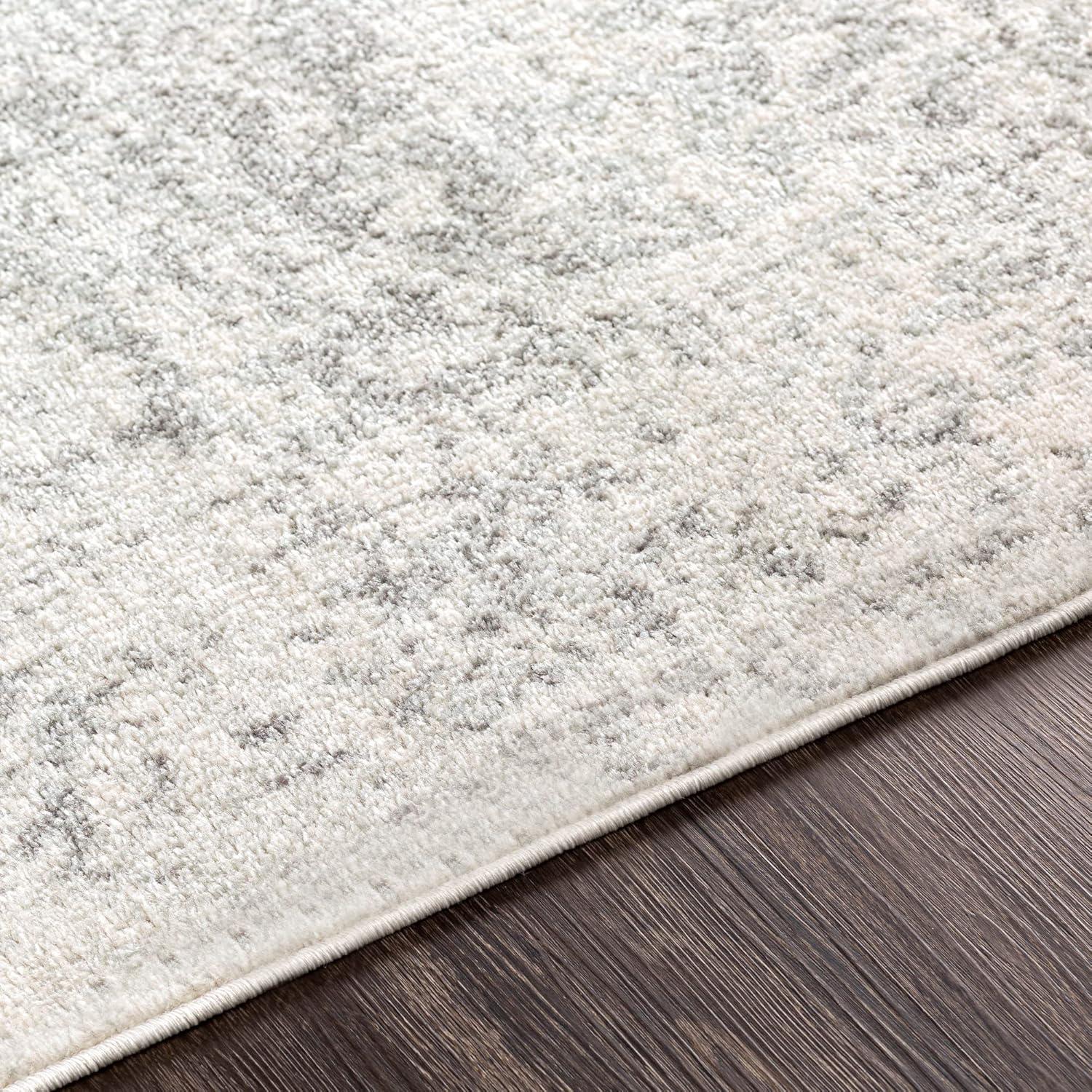 Prisha Rug - Stone / 2'7" x 10'3"