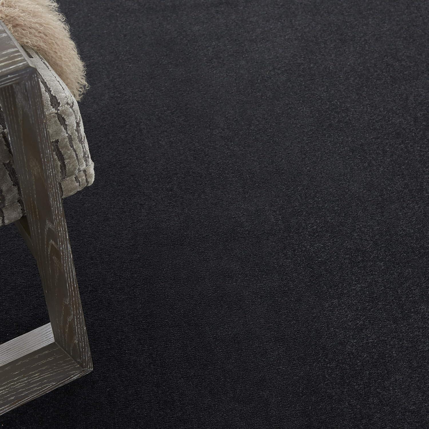 Nourison Essentials Easy Care Indoor Outdoor Area Rug - Black 8' x 11'