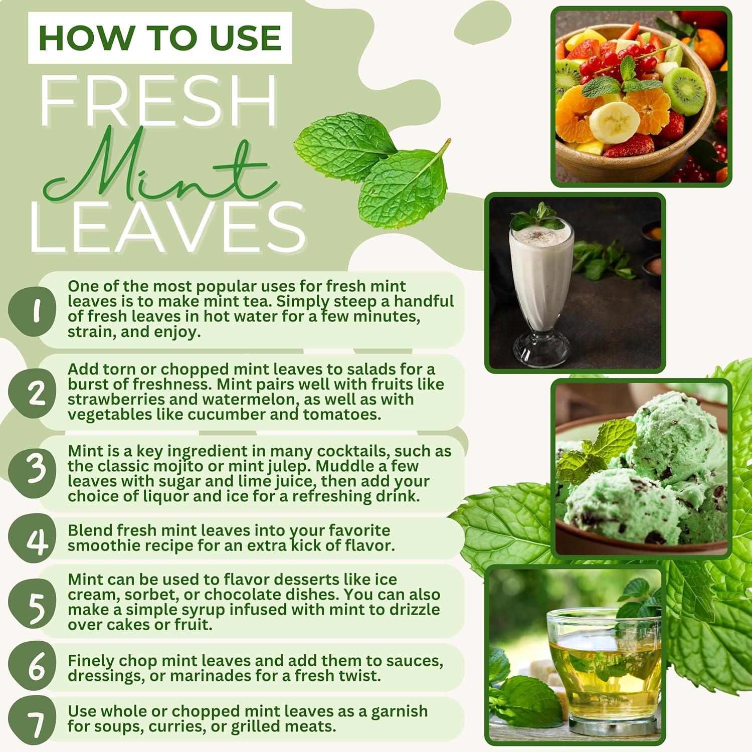 Fresh Mint (Pudina) Leaves - 1.5-2oz - Rani Brand Authentic Indian Products