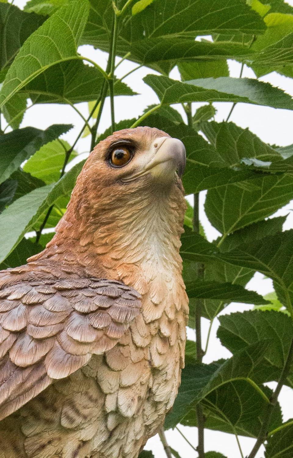 Hand-Painted Polyresin Hawk on Branch Garden Statue