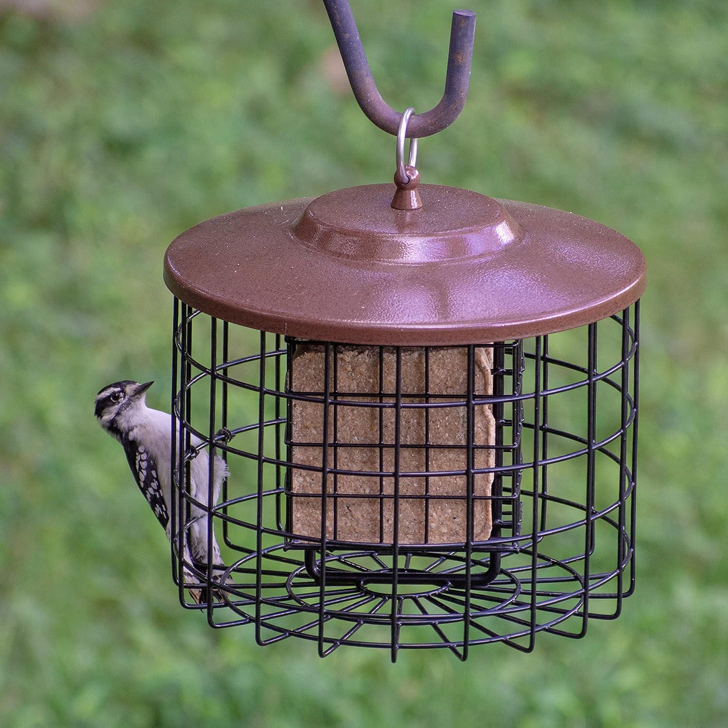 Brown and Black Metal Squirrel Resistant Hanging Suet Cage