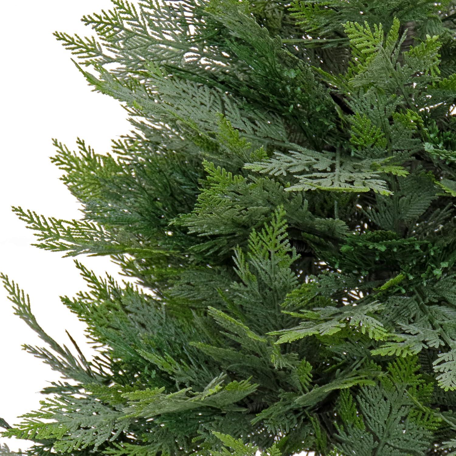 3 ft. Cypress Tree in Nursery Pot