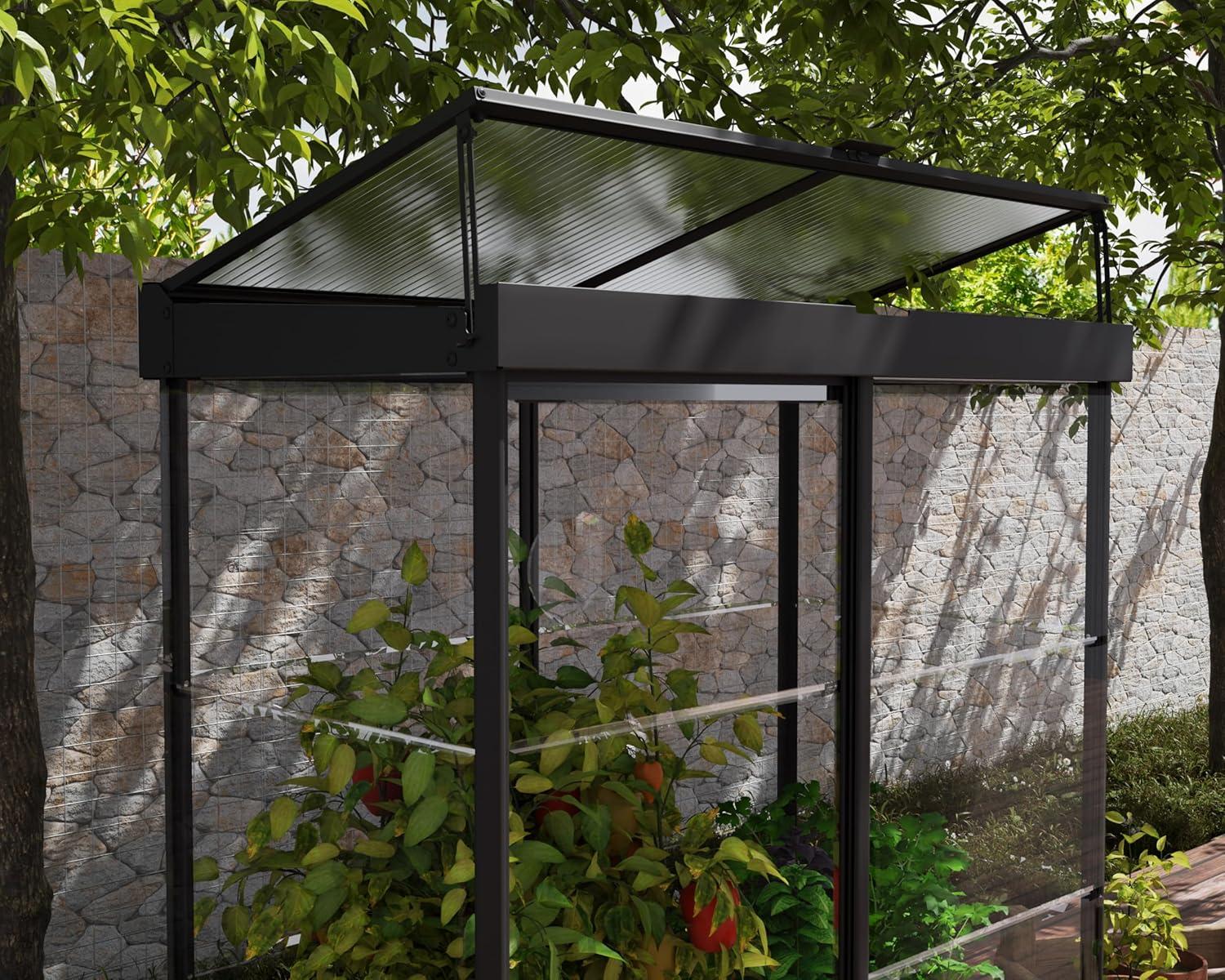 Palram - Canopia Ivy 4' x 2' Mini Greenhouse - Black