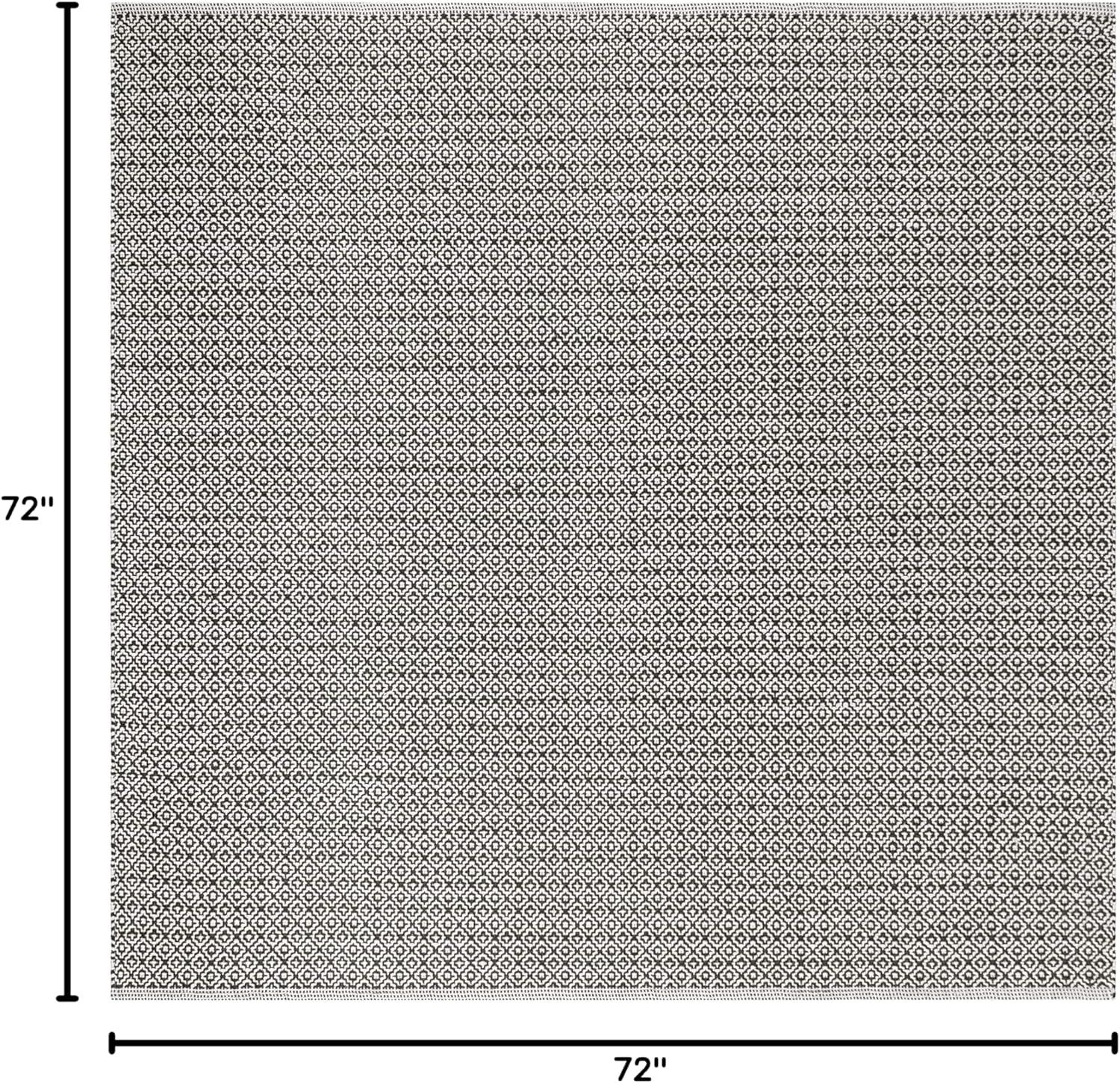 Montauk MTK717 Hand Woven Indoor Area Rug - Ivory/Black - 6'x6' - Safavieh.