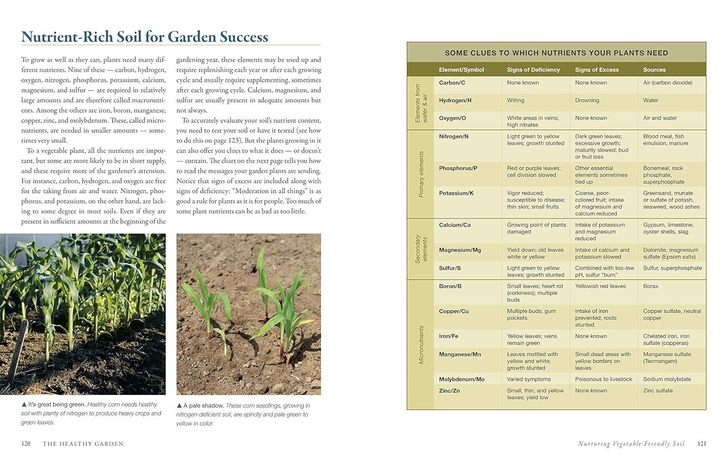 The Vegetable Gardener's Bible, 2nd Edition - 10th Edition by  Edward C Smith (Paperback)