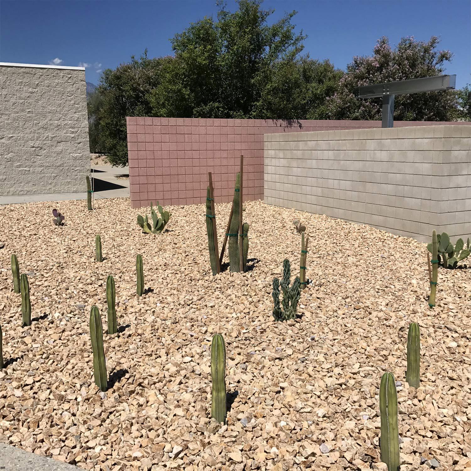 Landscape Rock & Pea Gravel, Decorative Garden Stones for Landscaping 3/8"