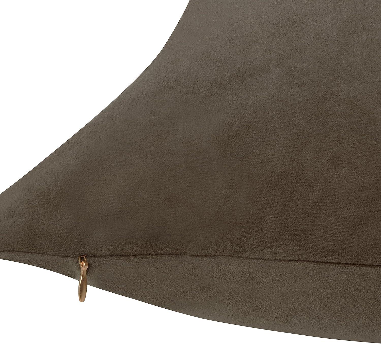 Delara Velvet Decorative Throw Pillow Cover 20 x 20 Inches (Set of 1)