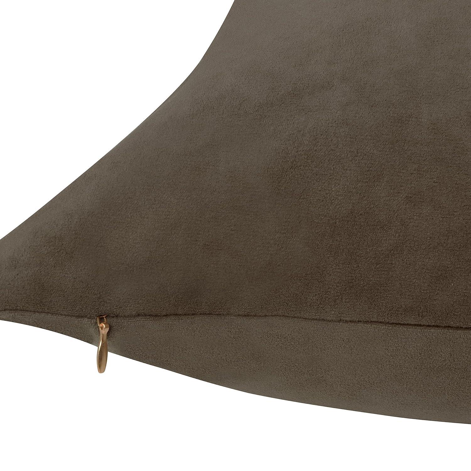 Delara Velvet Decorative Throw Pillow Cover 20 x 20 Inches (Set of 1)