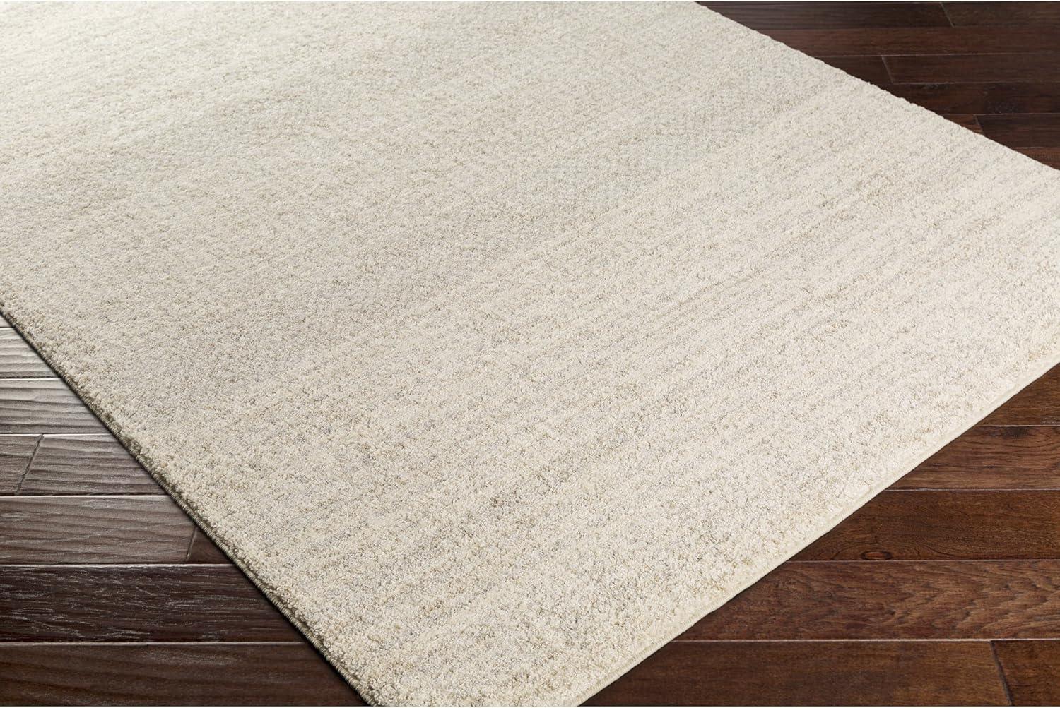 Gray High Pile Rectangular Shag Area Rug 2' x 3'