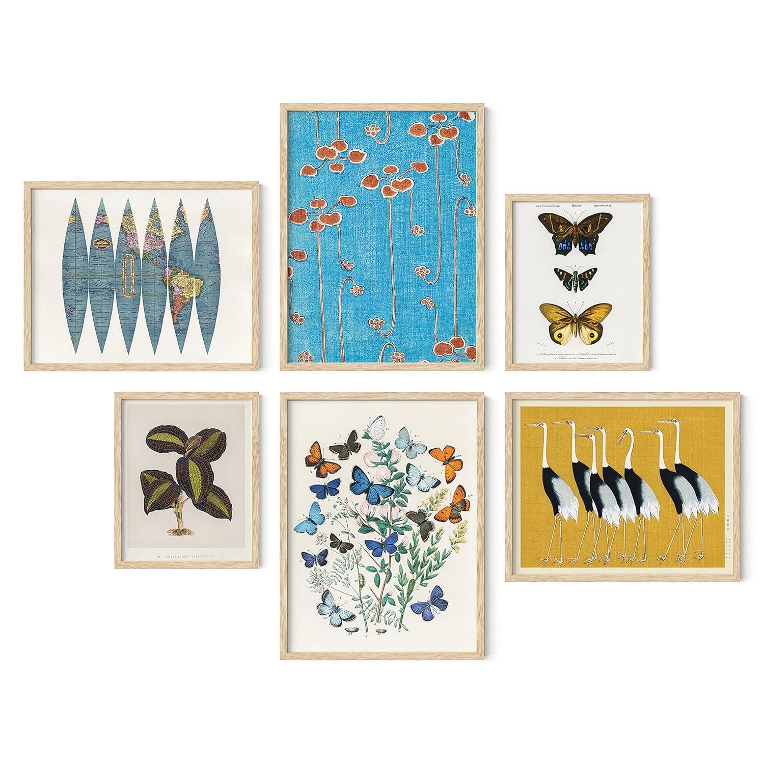 HAUS AND HUES Vintage Art Prints - Butterfly Posters for Room Aesthetic Vintage, Nature Posters, Botanical Vintage Posters, Cottagecore Poster, Wall Gallery Decor, Classic Art Poster (Unframed)