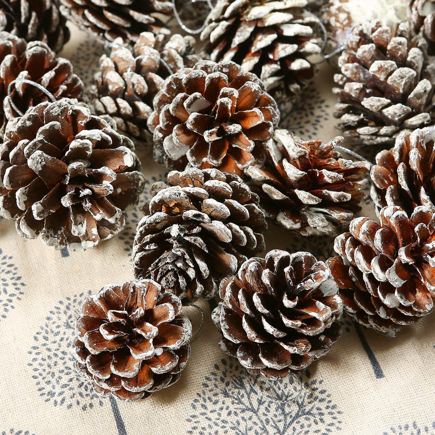 Natural Pinecones with White Tips and Silver String, 24 Pieces